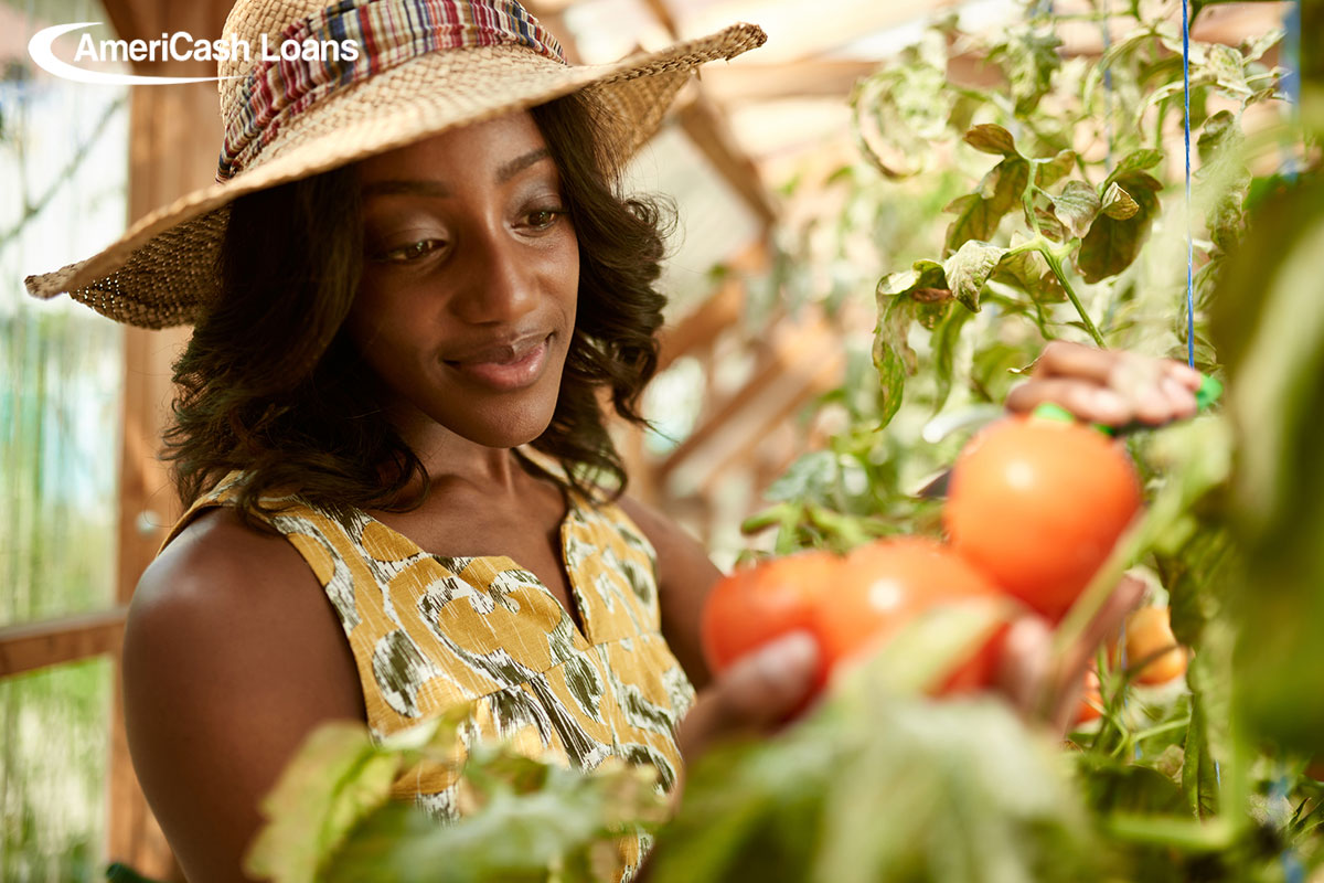 Budget Hack: Growing a Garden for Dirt Cheap