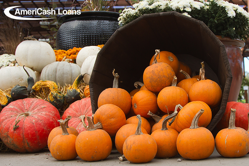 Fall Festivals in Charleston, SC