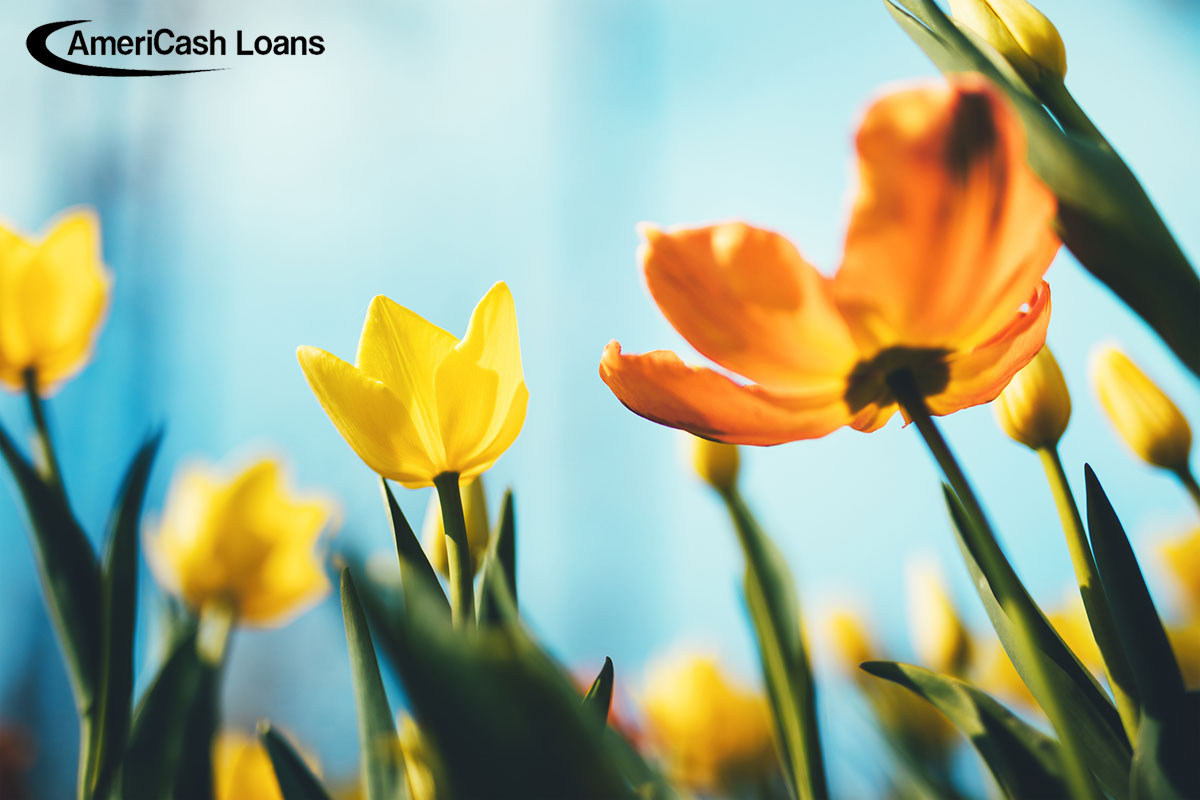 Spring Budget: Preparing for Seasonal Expenses